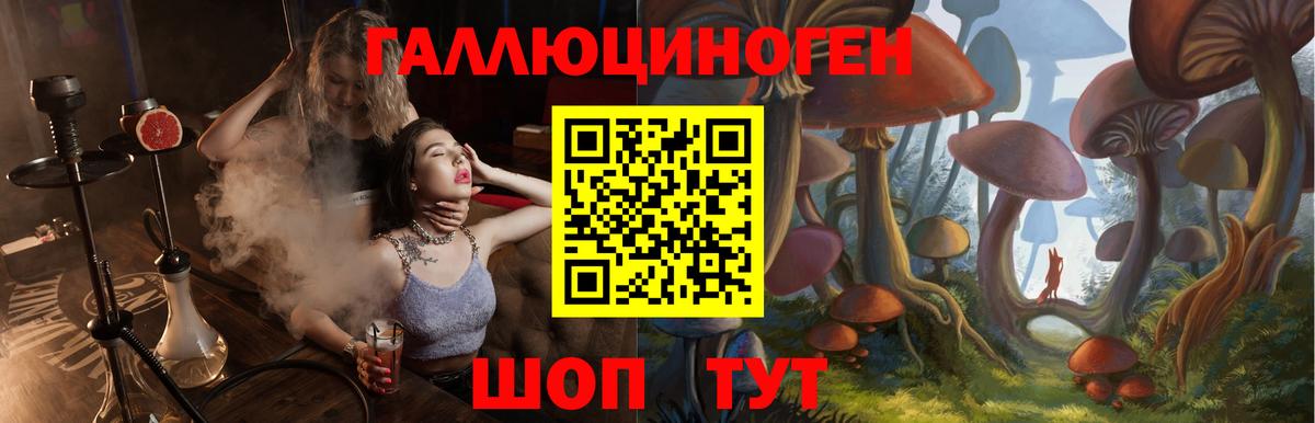 Галлюциногенные грибы прущие грибы  Вход с VPN  Лиски  Галлюциногенные грибы Psilocybe 